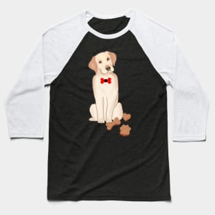 Dog begging more food Baseball T-Shirt